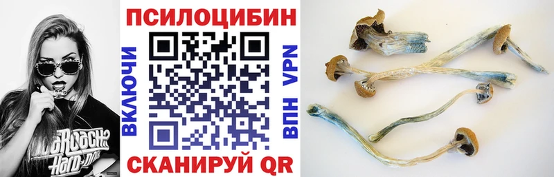 Купить закладки  Покровск  Галлюциногенные грибы Magic Shrooms 